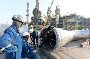 中國石化海外工程的“大烤驗” 在石油化工工程前沿淬煉實力